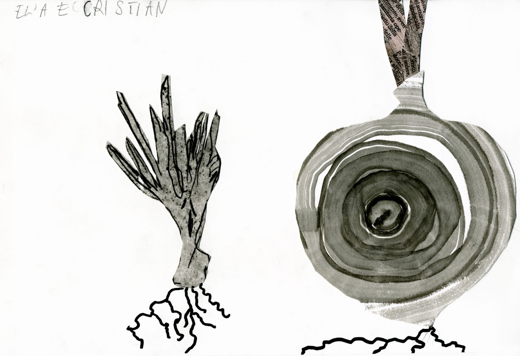 Laboratorio di illustraione botanica con bambini della scuola primaria - Mondi multipli